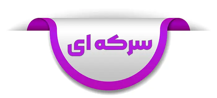 چیپس آرسی فمیلی با طمع سرکه ای